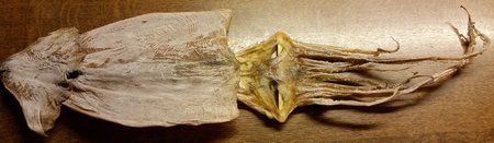 20150316_213430.jpg