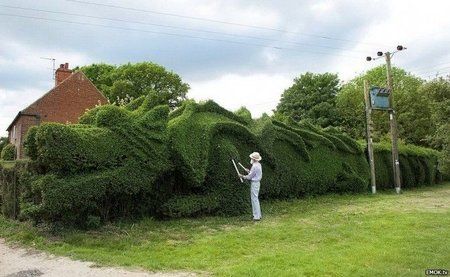 Gartenkunst.jpg