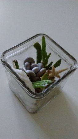 2015-03-25 14.34.56.jpg