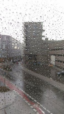 IMAG0041.jpg