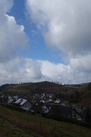DSC07848.jpg