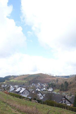 DSC07849.jpg