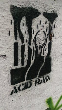 IMAG0070.jpg