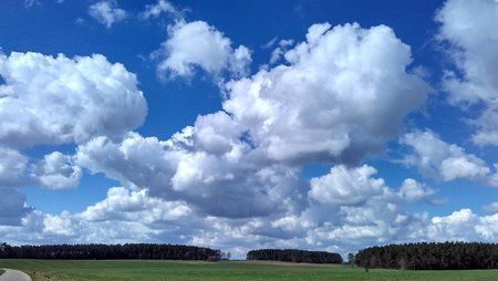 blau1.jpg