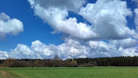 blau2.jpg