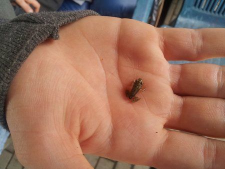 2011-06-11 16.54.04.jpg