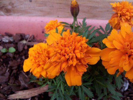 2011-06-14 13.46.44.jpg