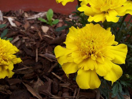 2011-06-14 13.47.27.jpg