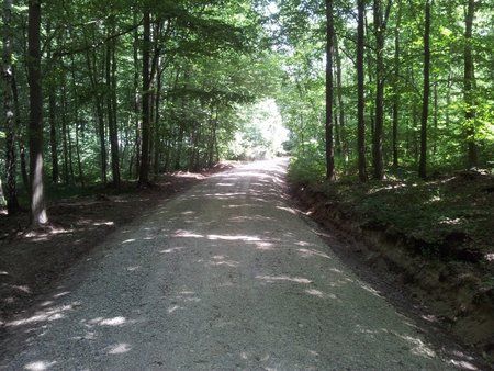 2011-06-04 13.29.31.jpg