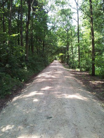 2011-06-04 13.40.34.jpg