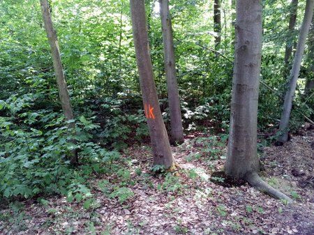 2011-06-04 13.52.27.jpg