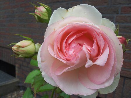 2011-06-17 14.54.58.jpg