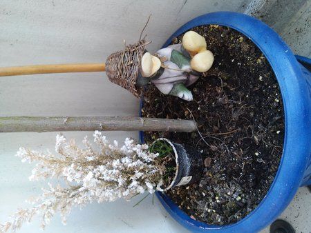 20150420_162019.jpg