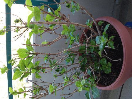 20150420_162040.jpg