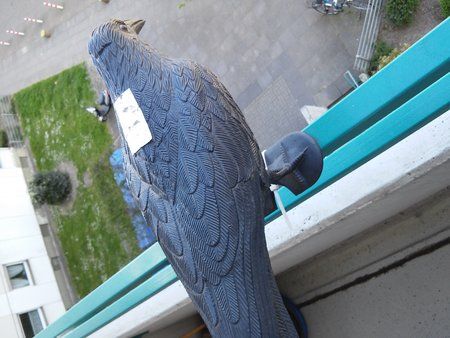 20150420_162445.jpg