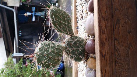 2015-04-25 16.18.48.jpg