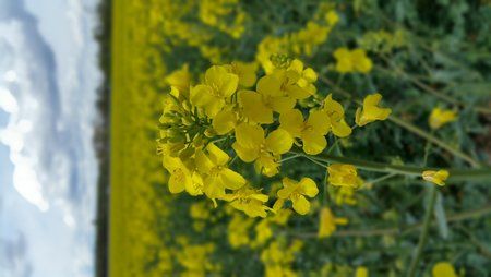 20150426_134227.jpg