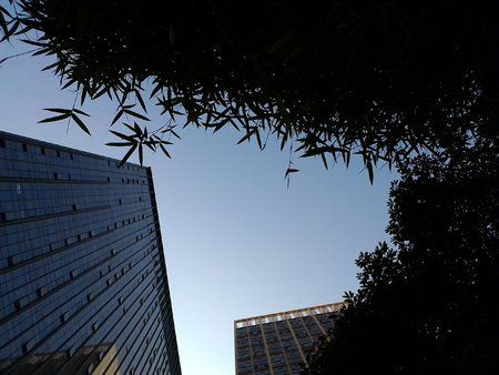 tradingshenzhen_P_20150427_161322_BF.jpg