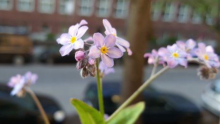 2015-04-29 07.03.24-cut.jpg