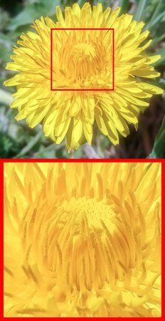 IMAG0235_optimized_big.jpg
