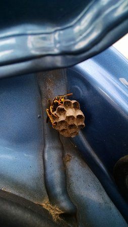 IMG_20150429_181038223[1].jpg