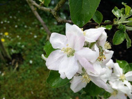 2015-04-26 14.41.54.jpg