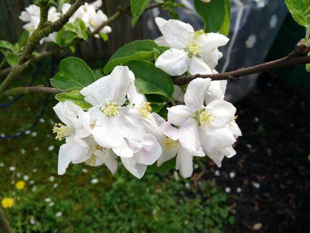 2015-04-26 14.42.03.jpg