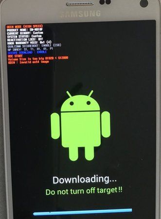 11194523_1138643502828930_6073060118159643548_o.jpg