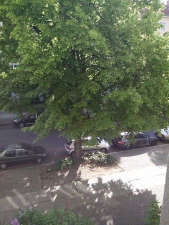 IMG20150509090548.jpg