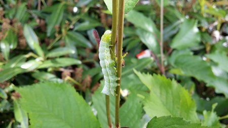 20150511_111540.jpg