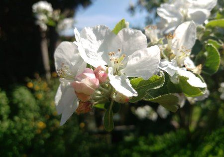 IMAG0115.jpg
