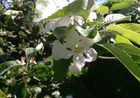 IMAG0117.jpg