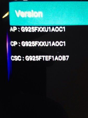 acdcca271e86ce952d3d0a06dbdebe46.jpg