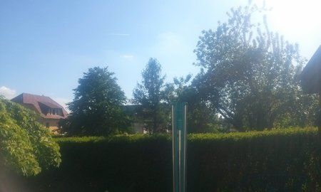 CAM8.jpg