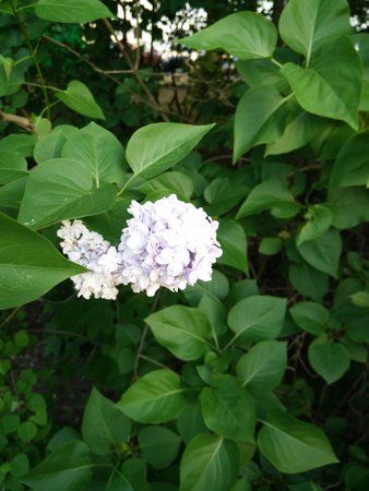 IMG20150517192609.jpg