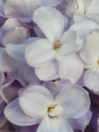 IMG20150517192632.jpg