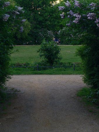 IMG20150517192828.jpg