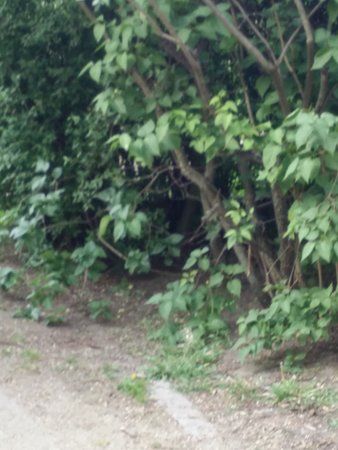 IMG20150517192917.jpg