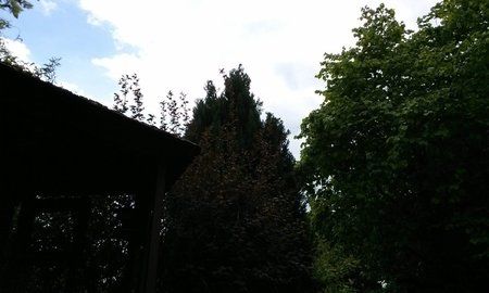 Bild ohne Backcover.jpg