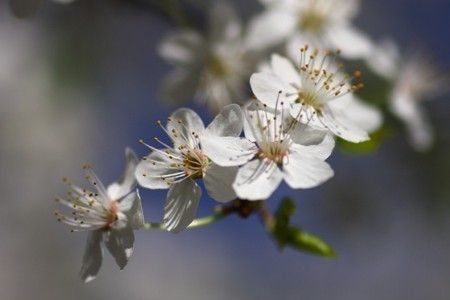 RTEmagicC_313dc182d2_187__spring_IIIIIIII_gw_.jpg.jpg