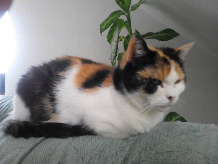 2015-03-28 11.35.20.jpg