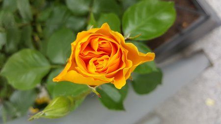 20150525_164712.jpg