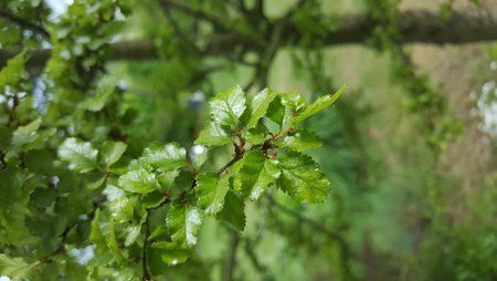 20150525_165112.jpg
