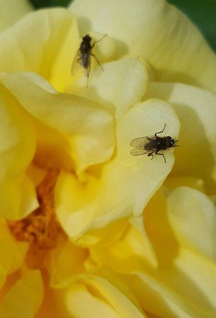 20150525_165259-1.jpg