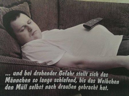 bei-drohender-gefahr-stellt-sich-das-maennchen-so-lange-schlafend.jpg
