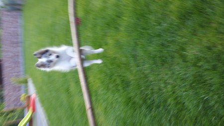 20150520_194858.jpg