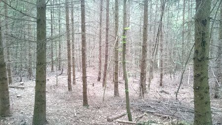 DSC_3470.JPG