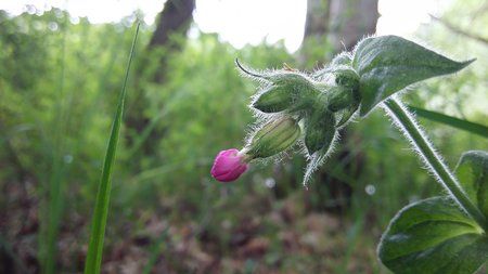 IMG_20150528_170343.jpg