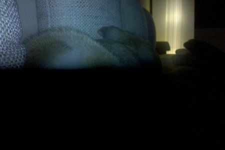 FxCam_1268162649125.jpg