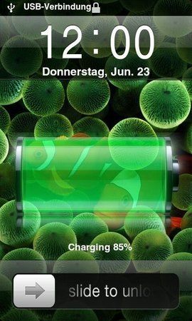 20110623_120048.jpg
